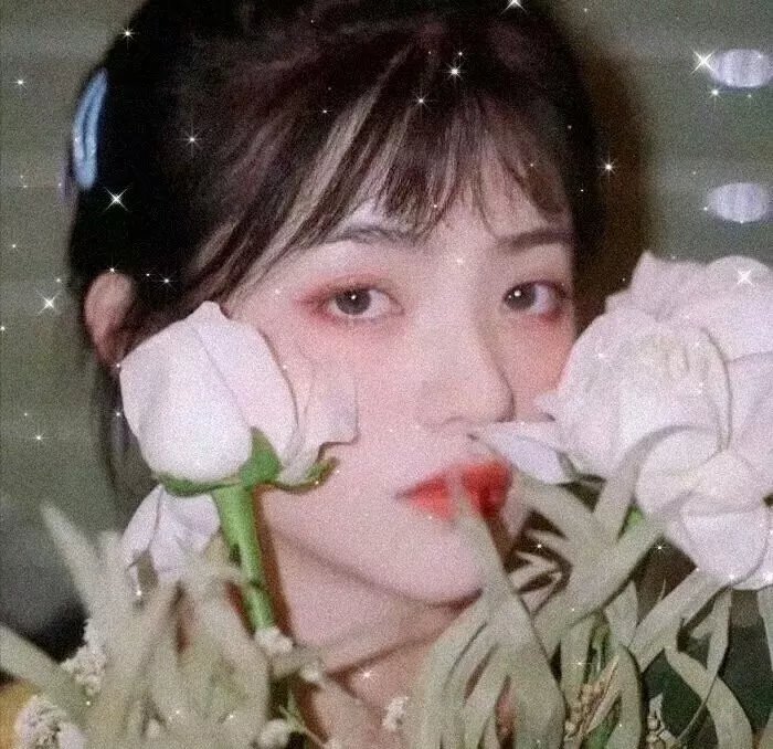 藏海花之暗巢汹涌